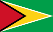 Flag of guyana svg