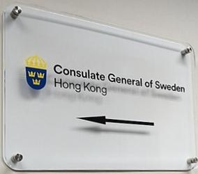 Suede cg hong kong